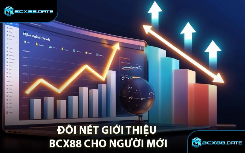Đôi Nét Giới Thiệu BCX88 Cho Người Mới