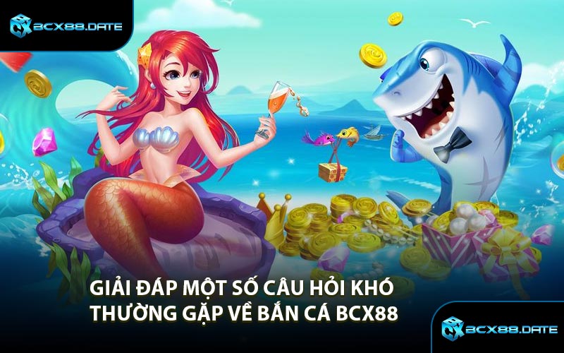 Giải Đáp Một Số Câu Hỏi Khó Thường Gặp Về Bắn Cá BCX88