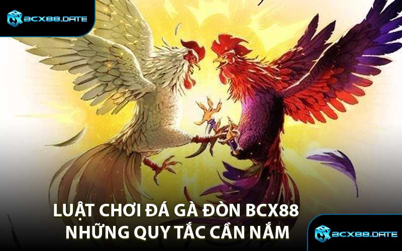 Luật Chơi Đá Gà Đòn BCX88 Những Quy Tắc Cần Nắm