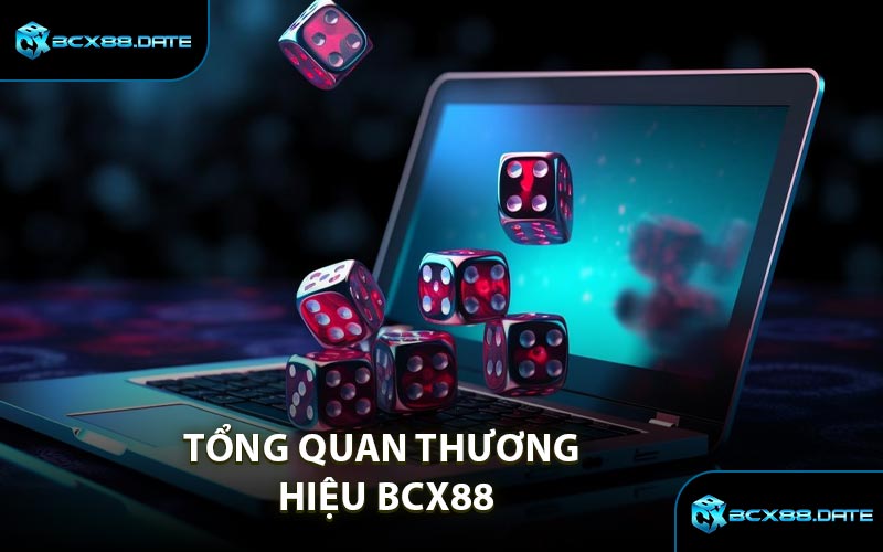 Tổng quan thương hiệu BCX88