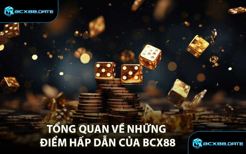 Tổng quan về những điểm hấp dẫn của BCX88